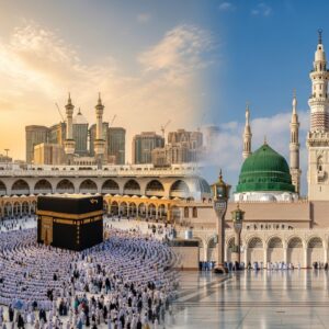 177313446569afe2818d15e